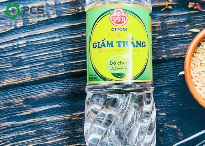 cách diệt kiến đen trong nhà